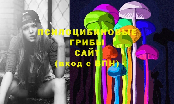 каннабис Корсаков