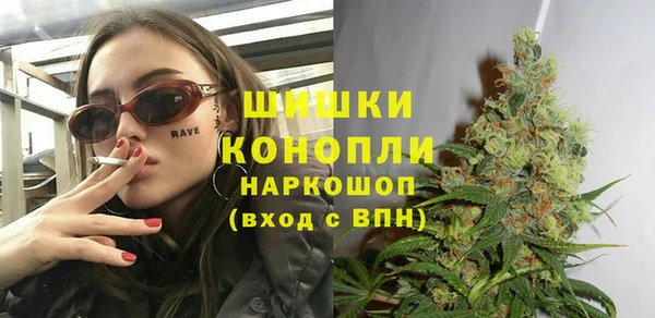 каннабис Корсаков