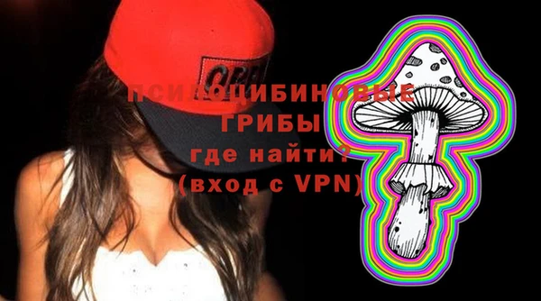 спиды Краснослободск
