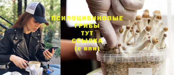 спиды Краснослободск